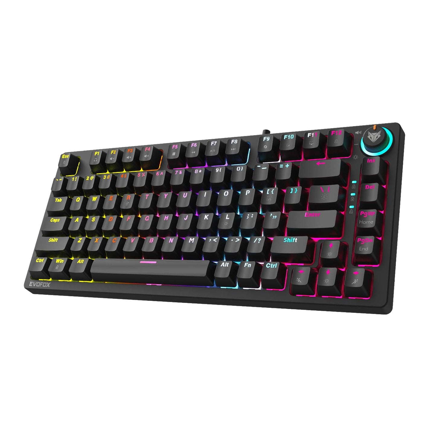 (Open Box) EvoFox Katana X2 TKL Mechanical Gaming Keyboard | 3‑Pin Replaceable Clicky Blue Switches, Dynamic Backlighting, All Keys Anti‑Ghosting, Volume Knob, Copilot, Xbox Gamebar, Screenshot & More (Black)