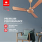 Havells Festiva 1200mm Dust Resistant Ceiling Fan