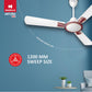 Havells 1200mm Astura Energy Saving Ceiling Fan (Brown Gold Mist, Pack of 1)