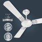 Havells Enticer Art Collector Edition 1200mm Decorative, Dust Resistant, High Power in Low Voltage (HPLV), High Speed Ceiling Fan (Rose Gold)