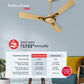 Havells 1200Mm Festiva Prime Bldc Motor Ceiling Fan|5 Stars Cf With Rf Remote, 100% Copper, Upto 57% Energy Saving|Eco Active Technology, 2 Year Warranty|(Pack Of 1, Dusk Chrome)