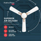 Havells 1200Mm Festiva Prime Bldc Motor Ceiling Fan|5 Stars Cf With Rf Remote, 100% Copper, Upto 57% Energy Saving|Eco Active Technology, 2 Year Warranty|(Pack Of 1, Dusk Chrome)