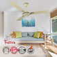 Havells Festiva 1200mm Dust Resistant Ceiling Fan