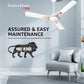 Havells 1200Mm Festiva Prime Bldc Motor Ceiling Fan|5 Stars Cf With Rf Remote, 100% Copper, Upto 57% Energy Saving|Eco Active Technology, 2 Year Warranty|(Pack Of 1, Dusk Chrome)