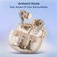 (Open Box) Boat Airdopes 191 ANC Earbuds